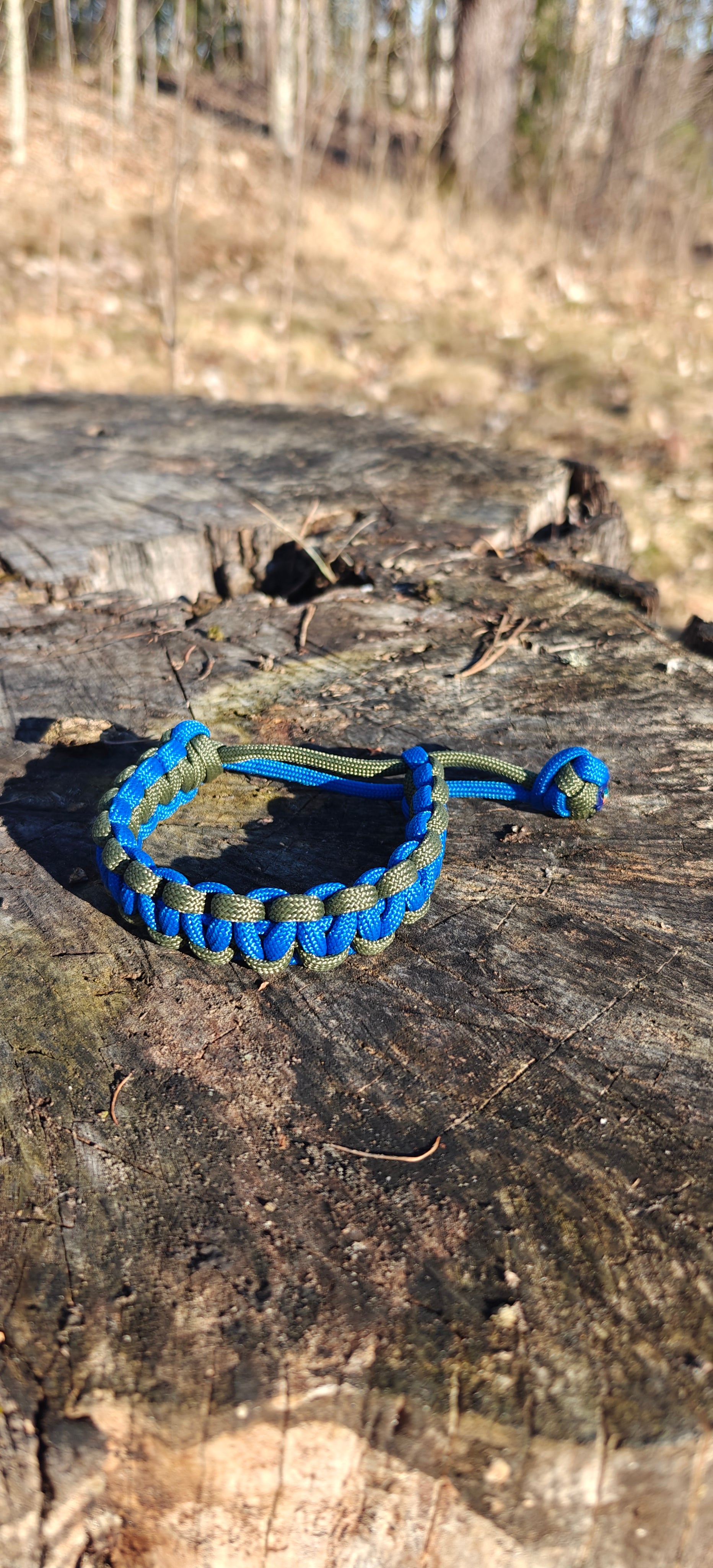 Umbra Rex-Ranger Volt