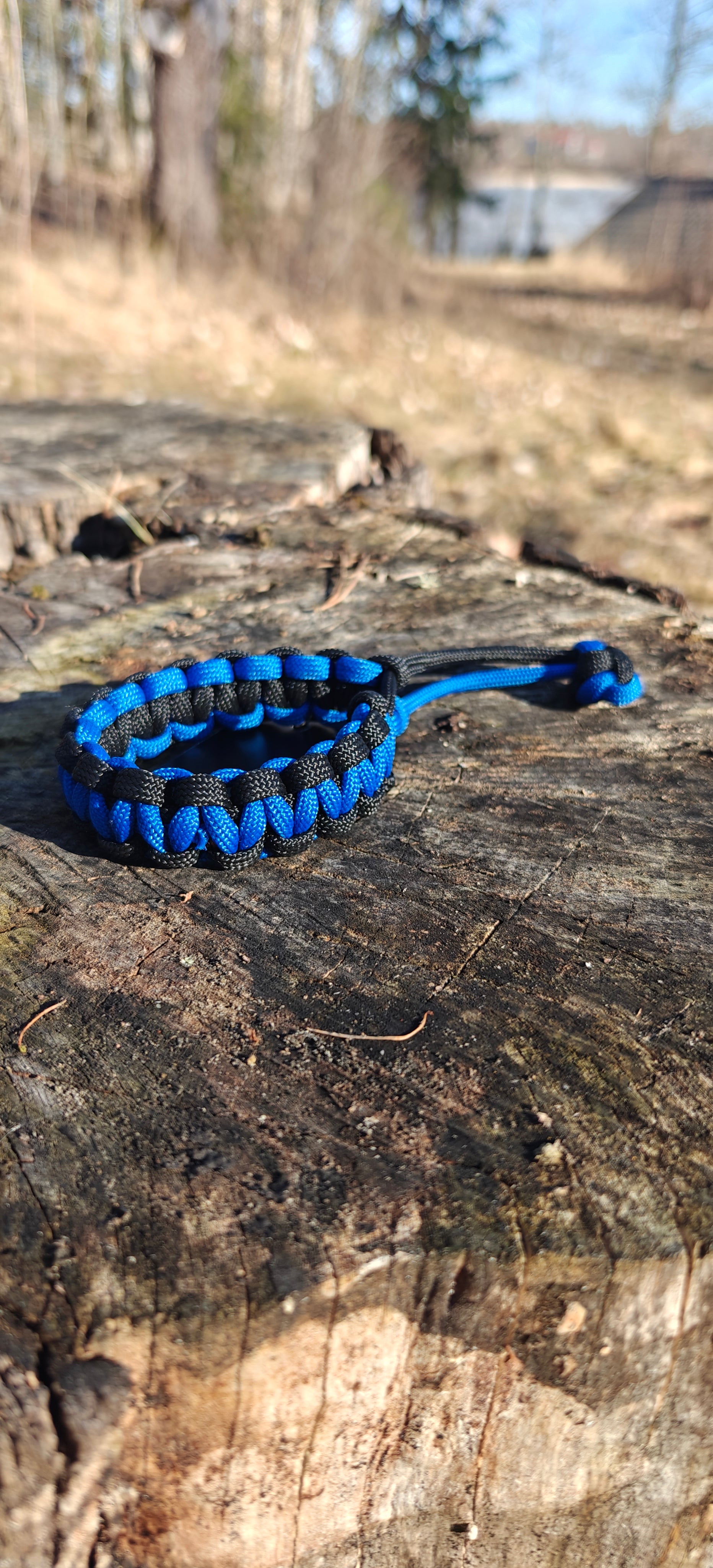 Umbra Rex-Volt Blue