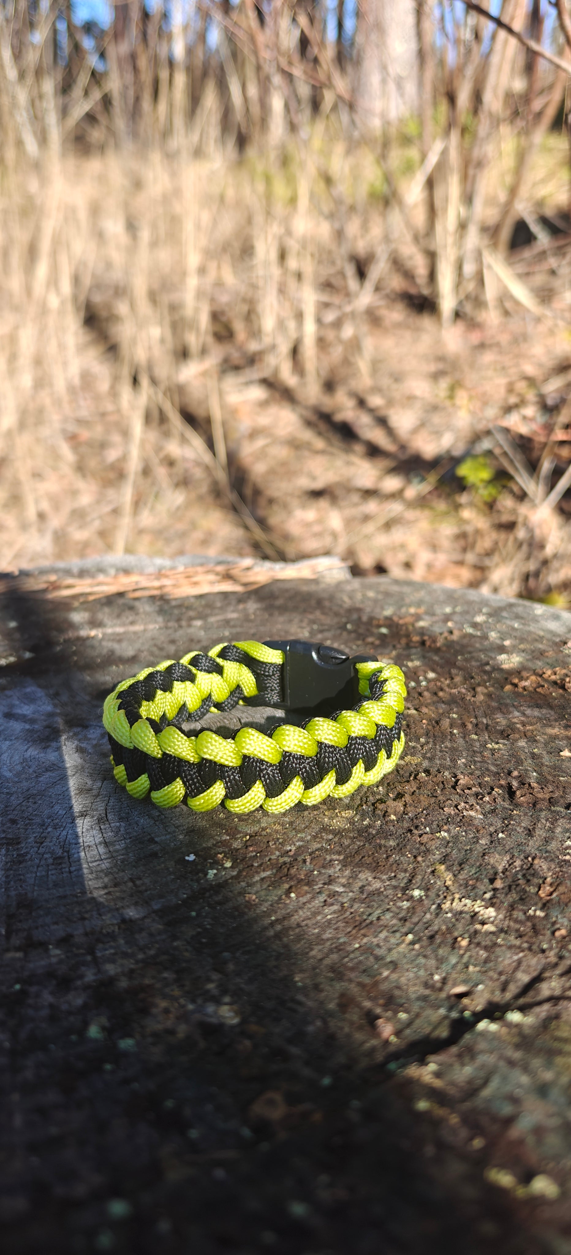 Umbra Rex-Neon Noctis