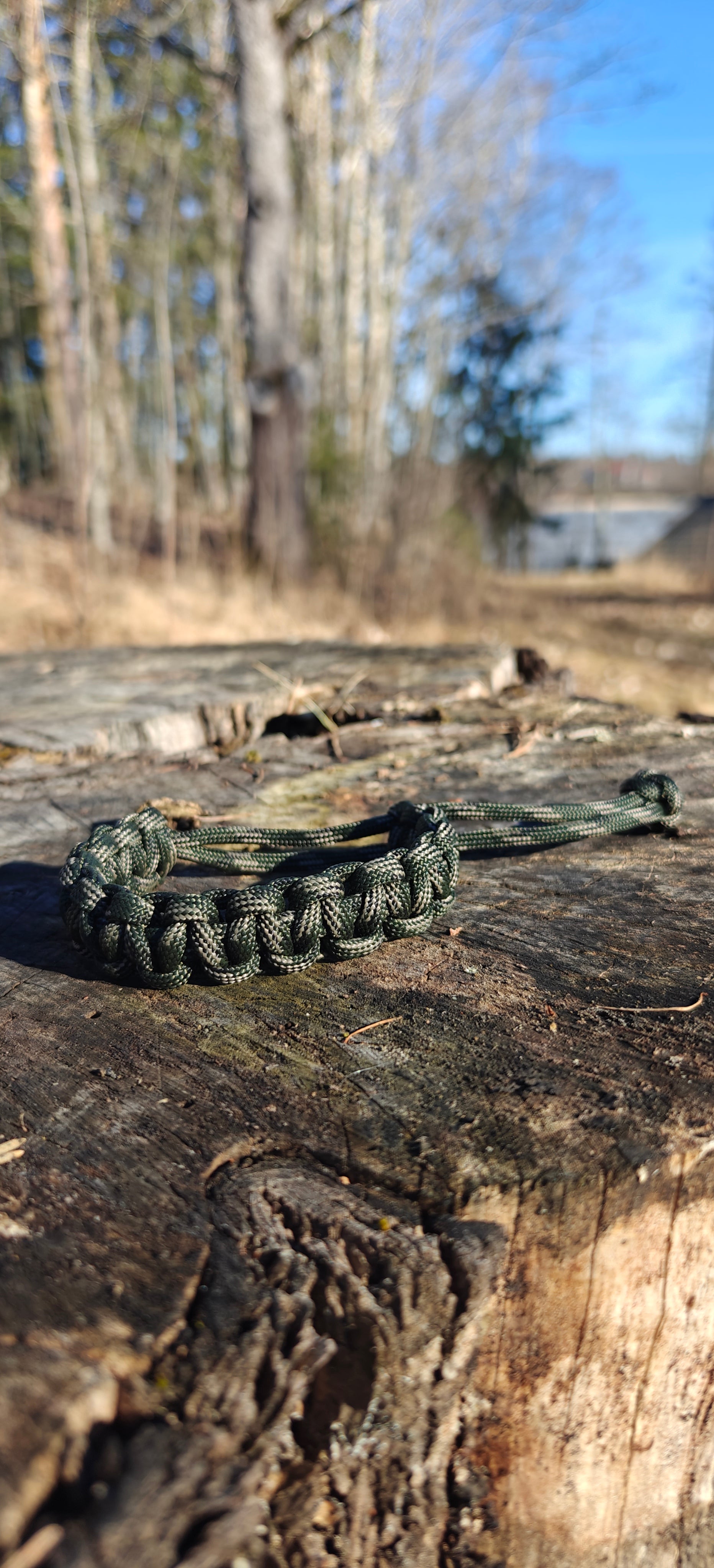 Umbra field-forest Core