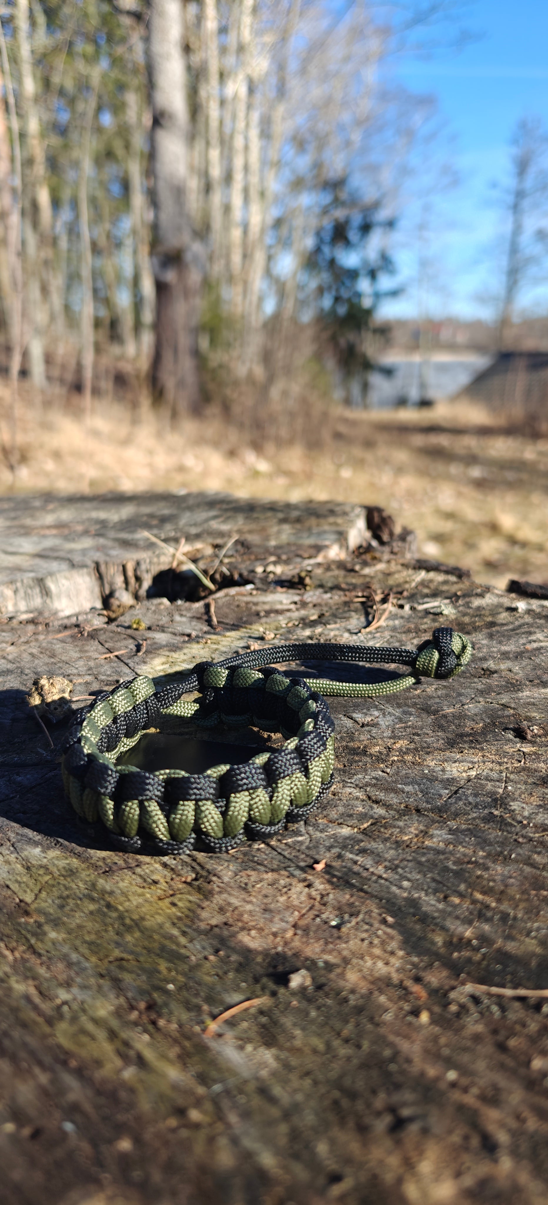 Umbra field-Shadow Moss